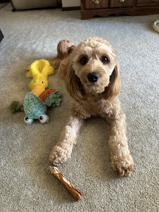 McCauley Animal Clinic Picture 1