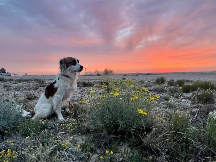 McCauley Animal Clinic Picture 3