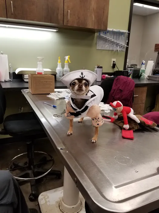 McCauley Animal Clinic Picture 2