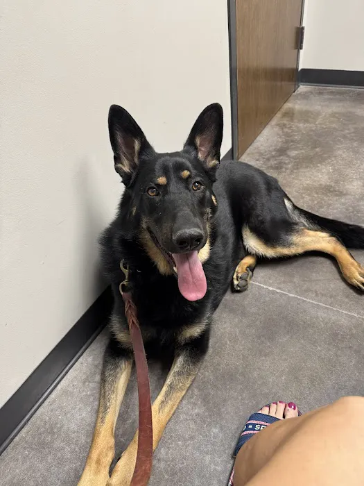 McCauley Animal Clinic Picture 5