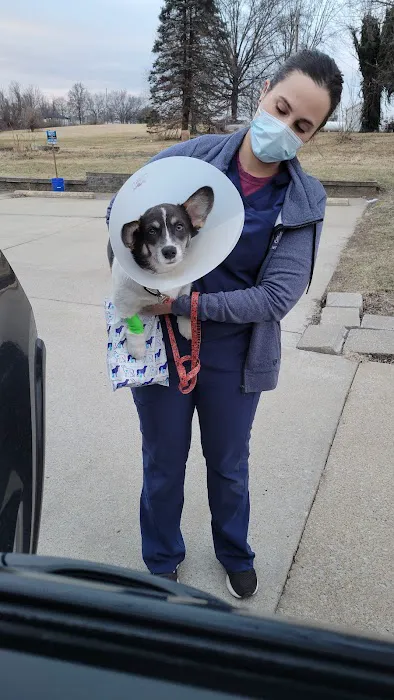 Arch Animal Hospital West Picture 1