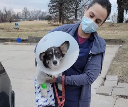 Arch Animal Hospital West