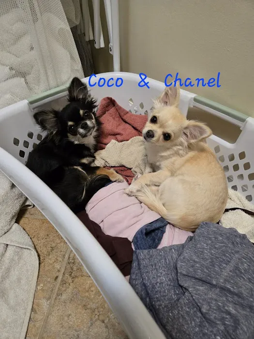 Vetco Total Care Animal Hospital Picture 1