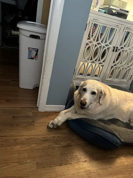 Vetco Total Care Animal Hospital Picture 5