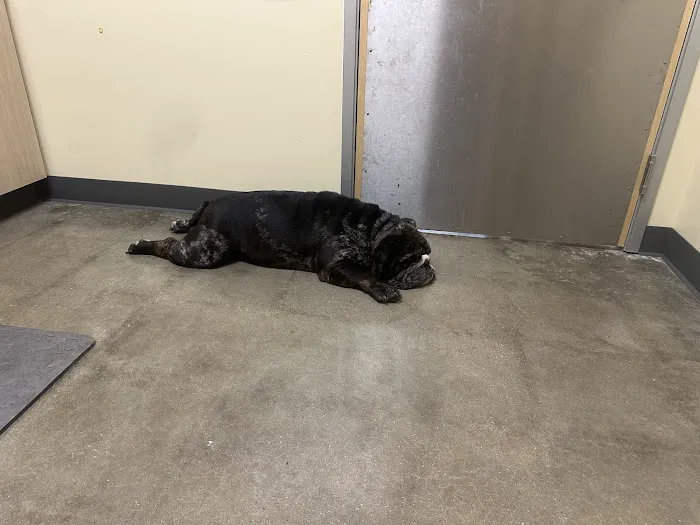 Vetco Total Care Animal Hospital Picture 2