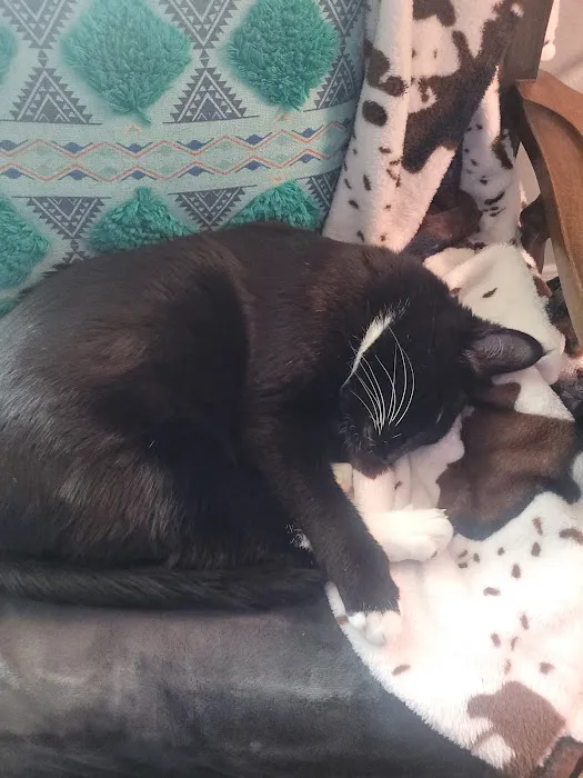 Vetco Total Care Animal Hospital Picture 8