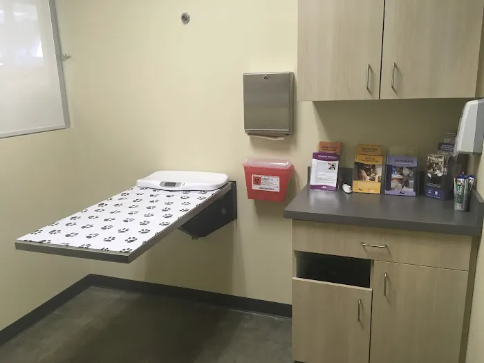 Vetco Total Care Animal Hospital Picture 10