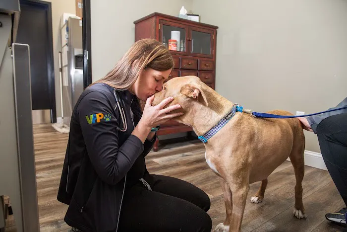 Cottleville Animal Hospital Picture 8