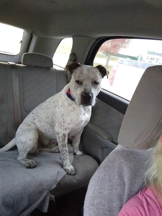 Red Barn Veterinary Services Picture 2