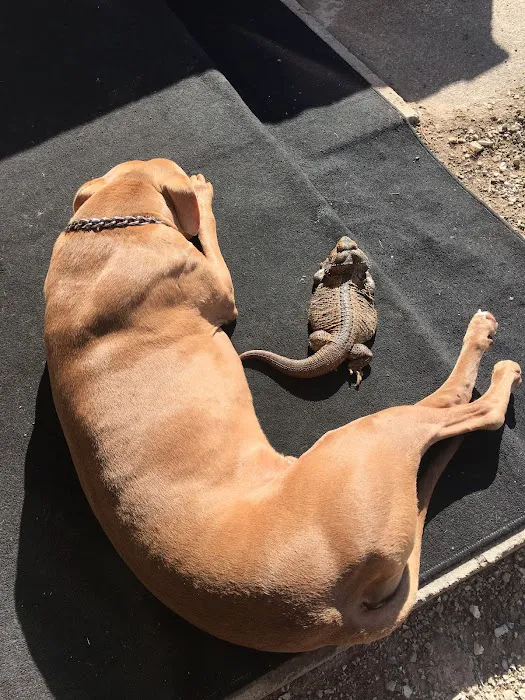 Red Barn Veterinary Services Picture 3