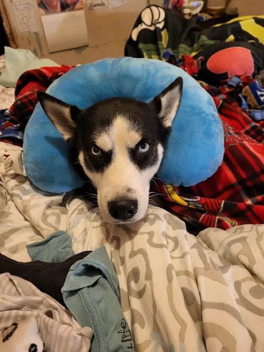 Red Barn Veterinary Services Picture 6