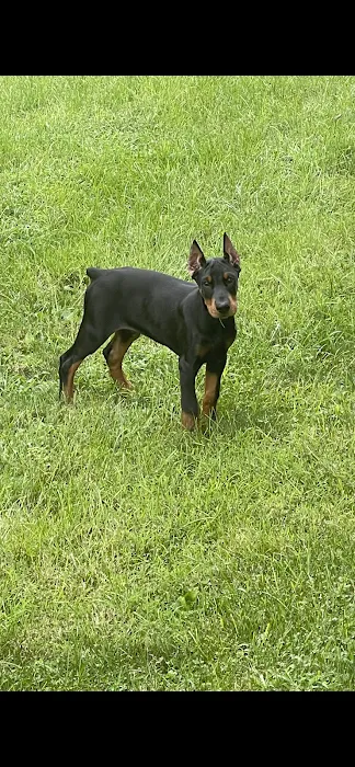 Red Barn Veterinary Services Picture 7