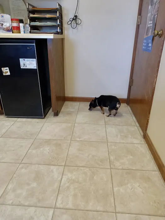 Northeast Veterinary Services Inc Picture 1