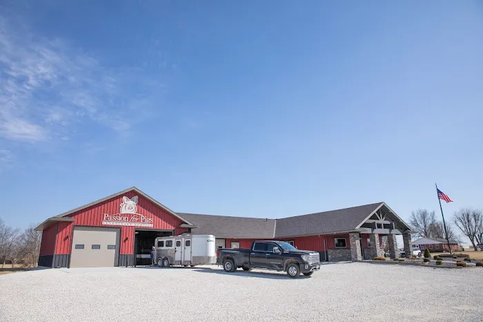 Passion for Pigs Picture 1