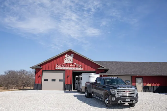 Passion for Pigs Picture 2