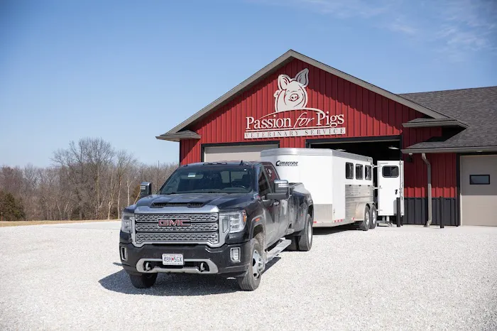 Passion for Pigs Picture 4