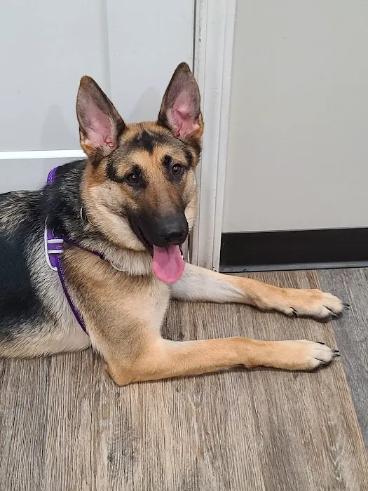 Bowling Green Veterinary Clinic Picture 1