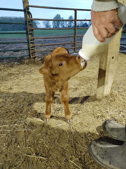Bowling Green Veterinary Clinic Picture 5