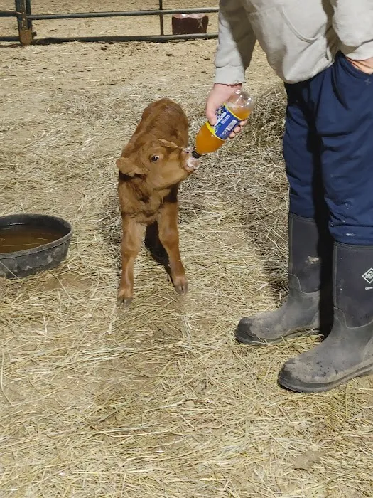 Bowling Green Veterinary Clinic Picture 4