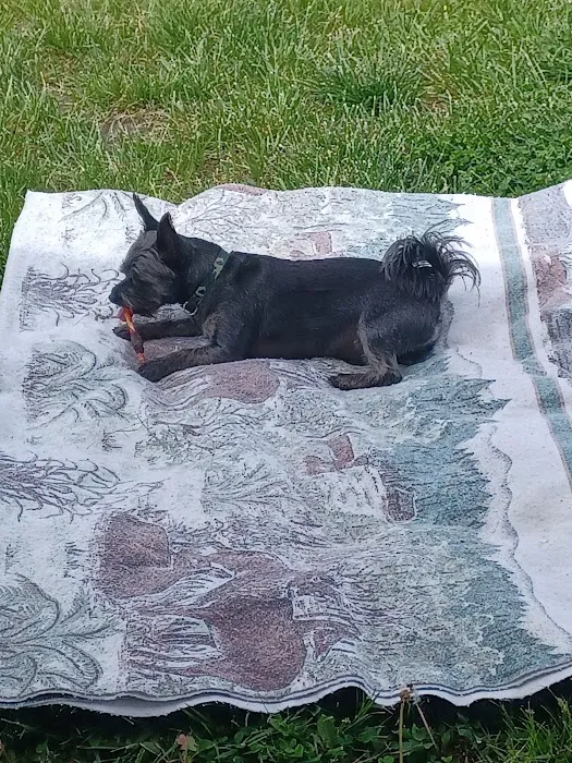 Bowling Green Veterinary Clinic Picture 6