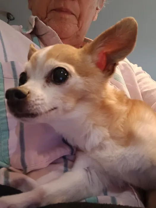 Split Rail Veterinary Clinic, LLC Picture 5