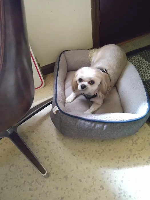 Split Rail Veterinary Clinic, LLC Picture 4