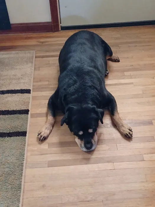 Mineral Wells Animal Clinic Picture 1