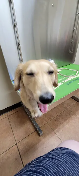 Mineral Wells Animal Clinic Picture 2