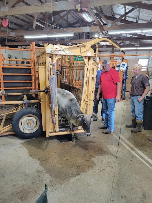 Mineral Wells Animal Clinic Picture 3