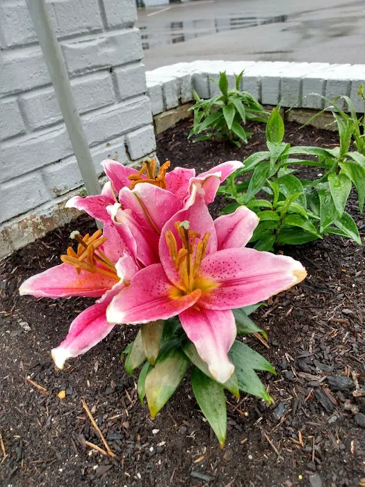 Mineral Wells Animal Clinic Picture 10