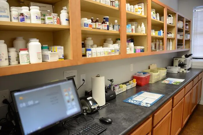 The Animal Doctor Picture 3