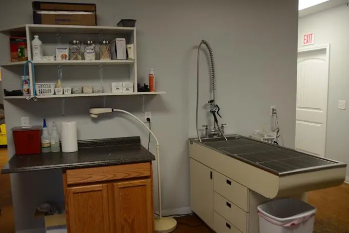 The Animal Doctor Picture 1