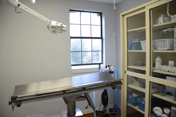 The Animal Doctor Picture 6