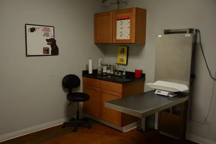 The Animal Doctor Picture 7