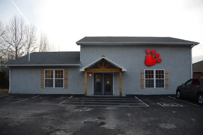 The Animal Doctor Picture 1