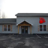 The Animal Doctor ico