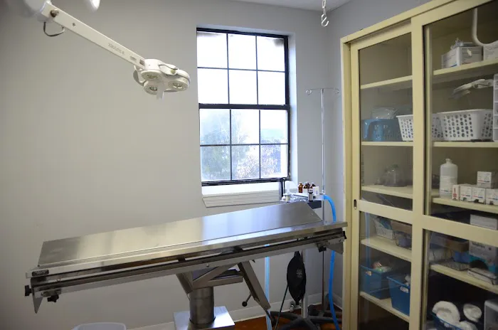 The Animal Doctor Picture 4