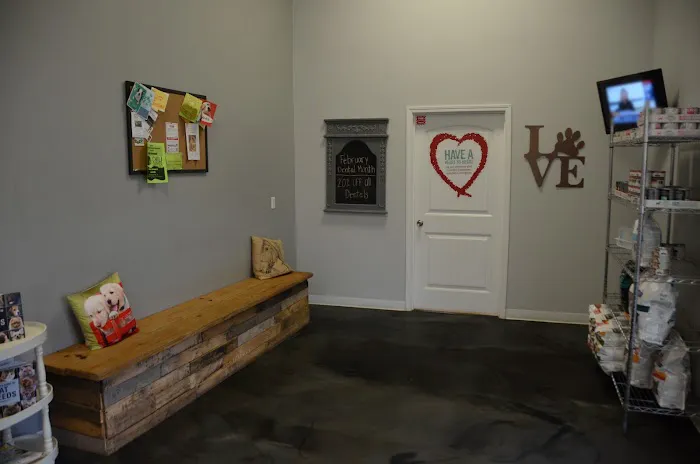 The Animal Doctor Picture 3