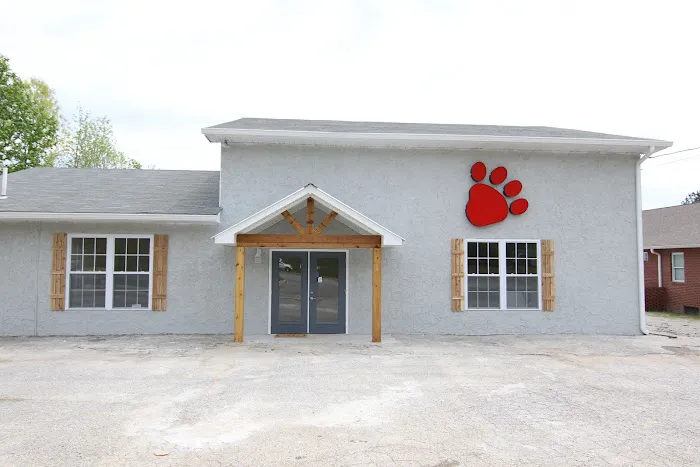 The Animal Doctor Picture 10