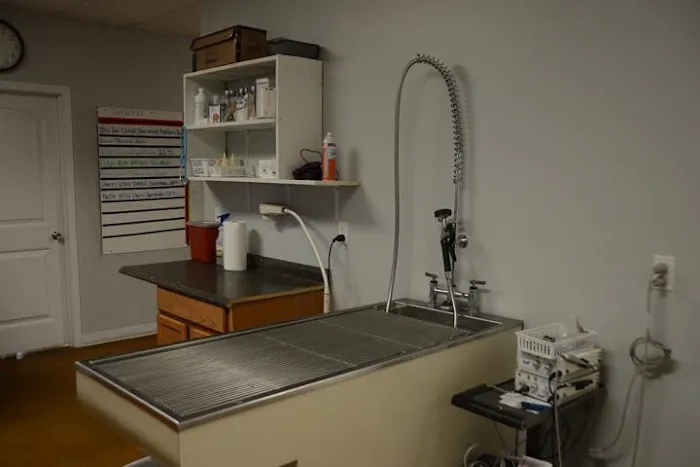 The Animal Doctor Picture 8