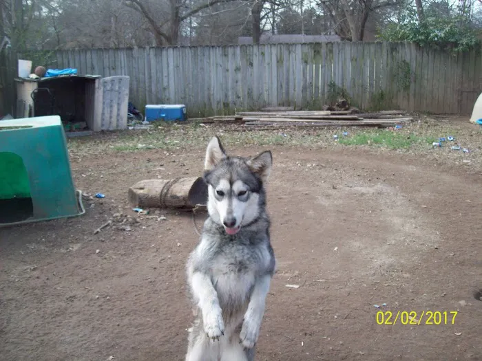 Tri County Animal Clinic Picture 1