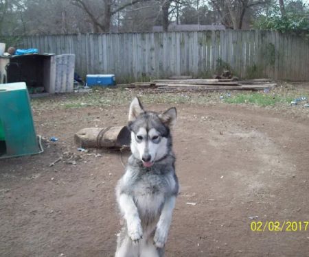 Tri County Animal Clinic