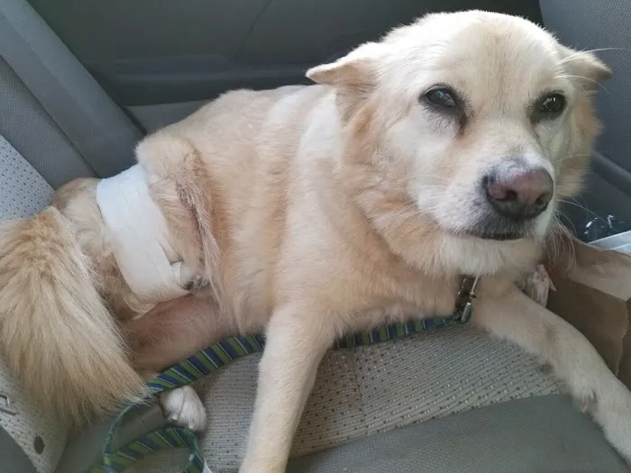 Tri County Animal Clinic Picture 3