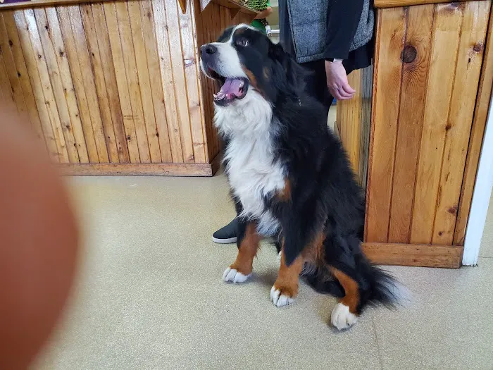 Tri County Animal Clinic Picture 9