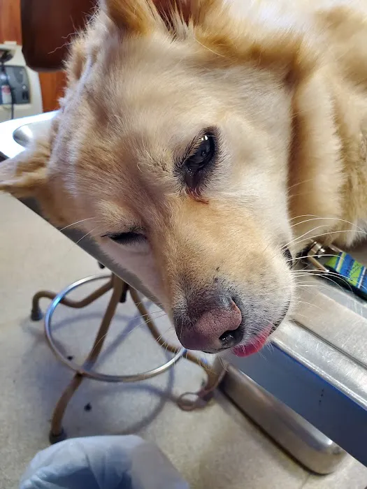 Tri County Animal Clinic Picture 10