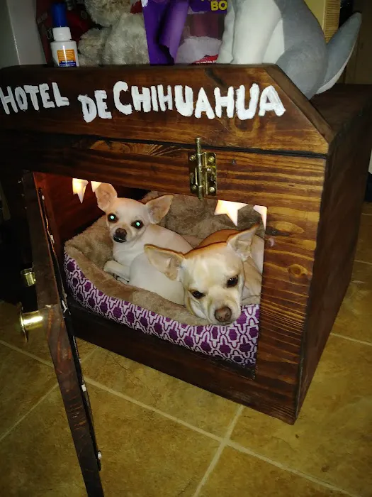 Tri County Animal Clinic Picture 6