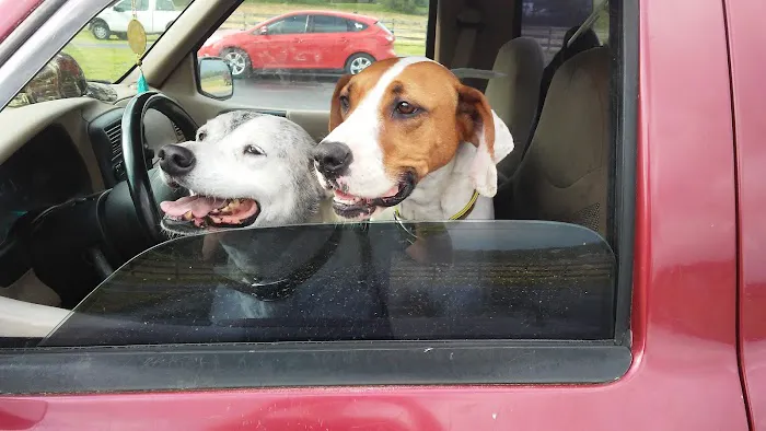 Tri County Animal Clinic Picture 7