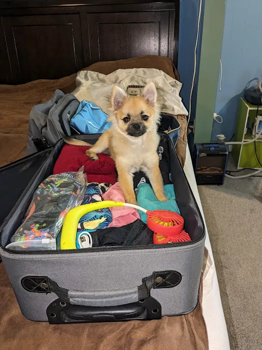 Bluegrass Veterinary Services, PLLC Picture 2