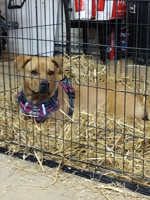 Bluegrass Veterinary Services, PLLC Picture 4