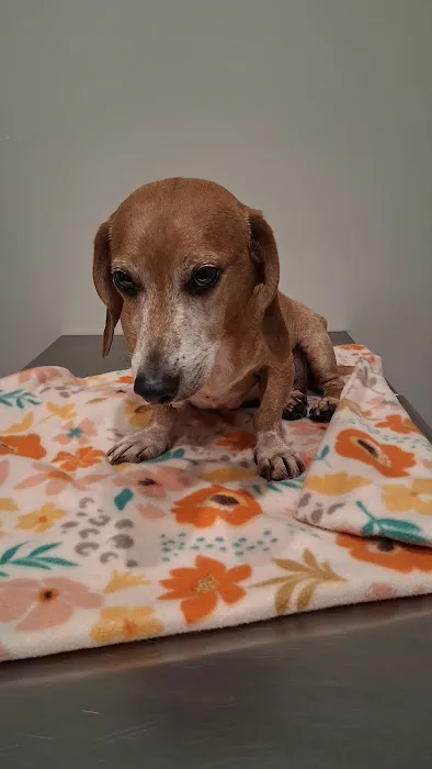 Rough River Veterinary Clinic Picture 1